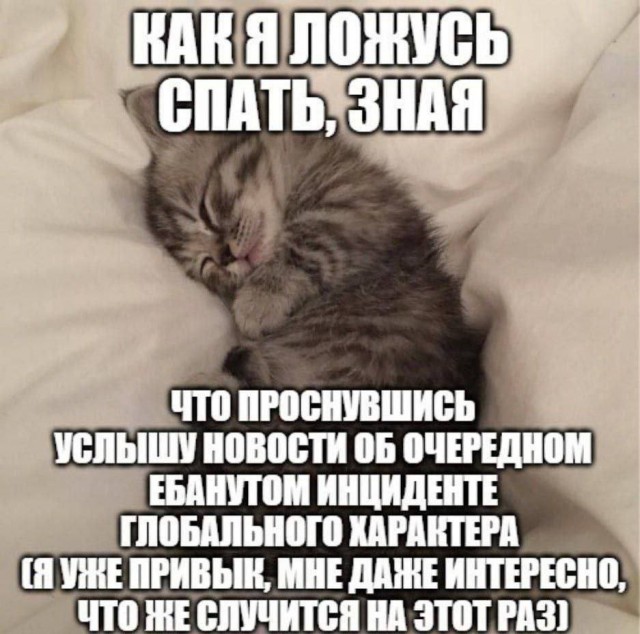 Всего понемногу. От 08.12.23