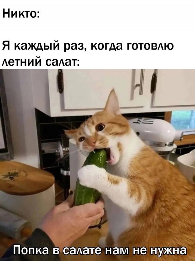 Улыбательные картинки разной степени свежести