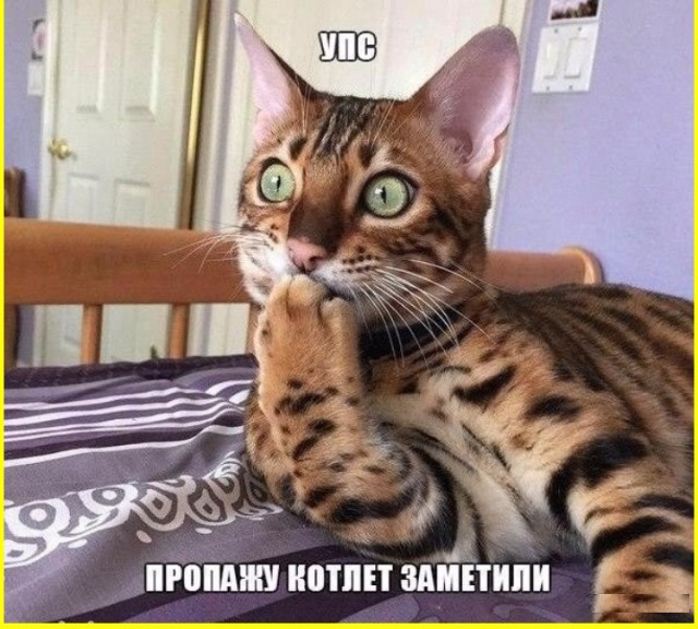 Тлидцать тли пятничные