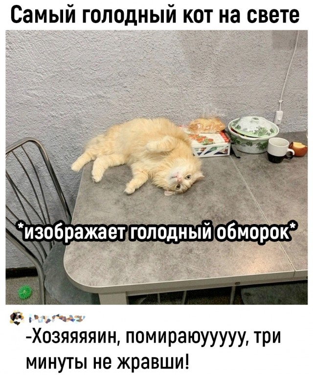 Так себе картинки 09.05.24