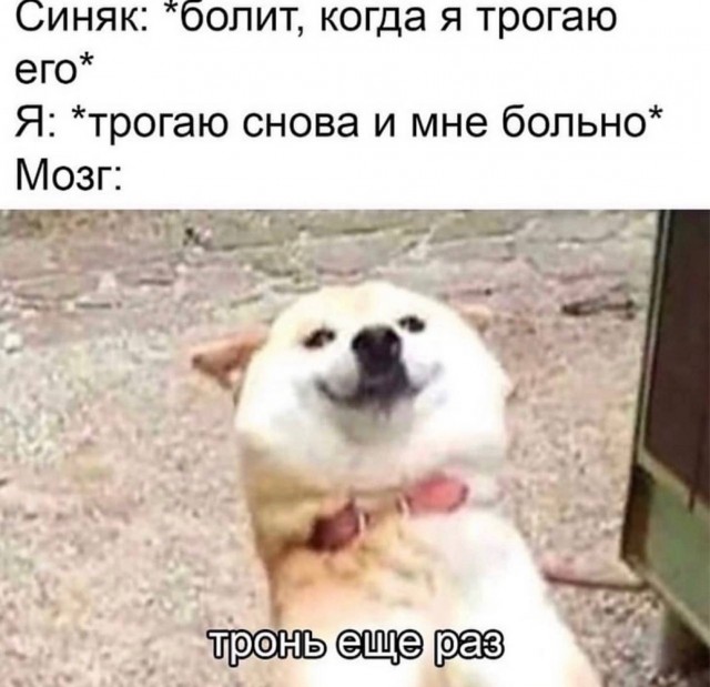 Немного забавных картинок от 07.09.24