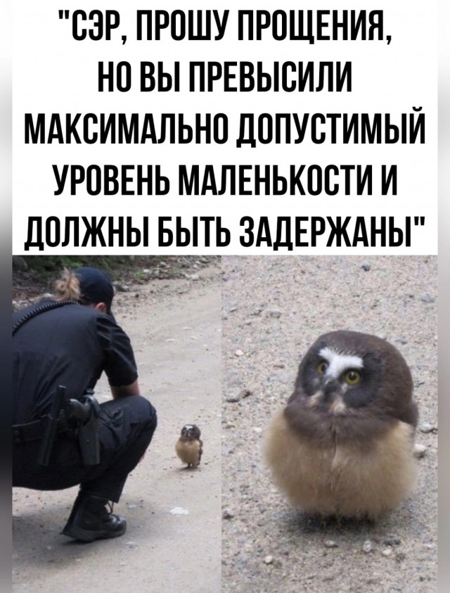 Нуштош 04.10.2024