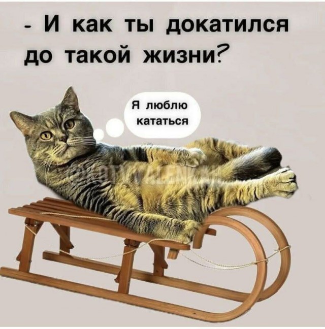 Картинки про юмор