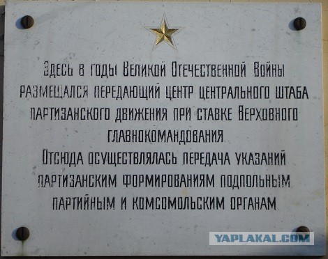 В Подмосковье хотят уничтожить вековой лес. Жители пытаются спасти его от застройки