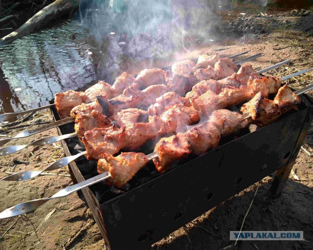 Майские хроники шашлыков 25