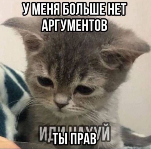 Папка с ответами