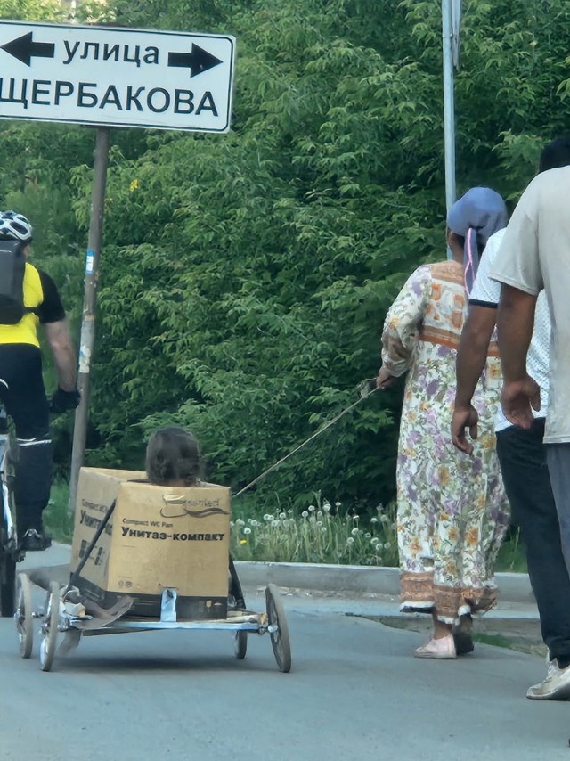 Так себе картинки 13.06.25