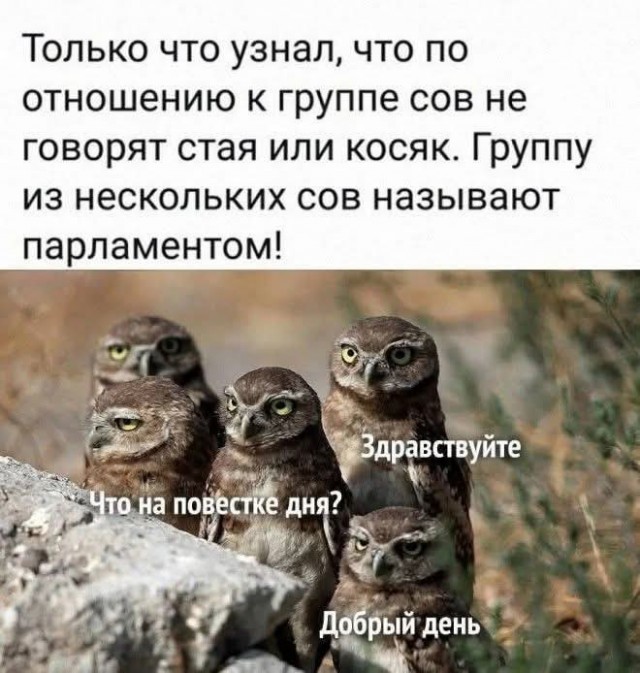 Завалялось тут случайно немного забавных картинок