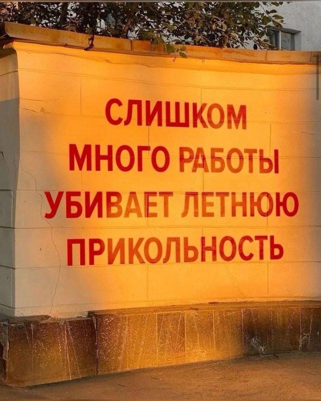 Так себе картинки 11.08.25
