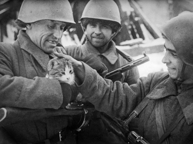 Великая Отечественная в фотографиях-13