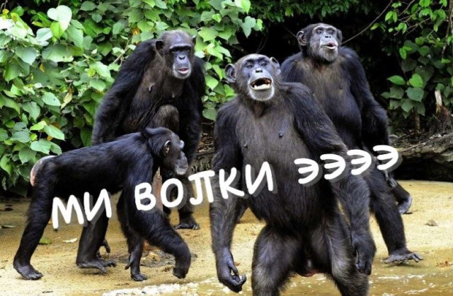 Опять эти