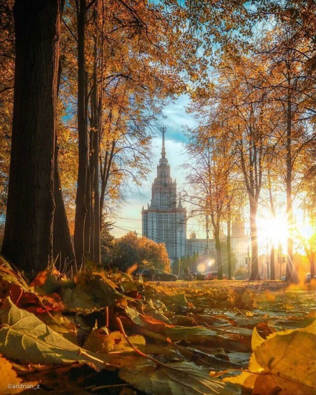 Прикольные и просто красивые картинки 31.10.2025