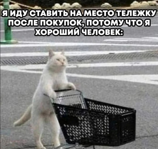 Понедельника картинки