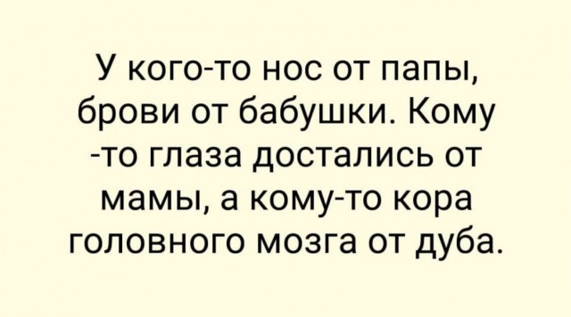 Субботние картинки