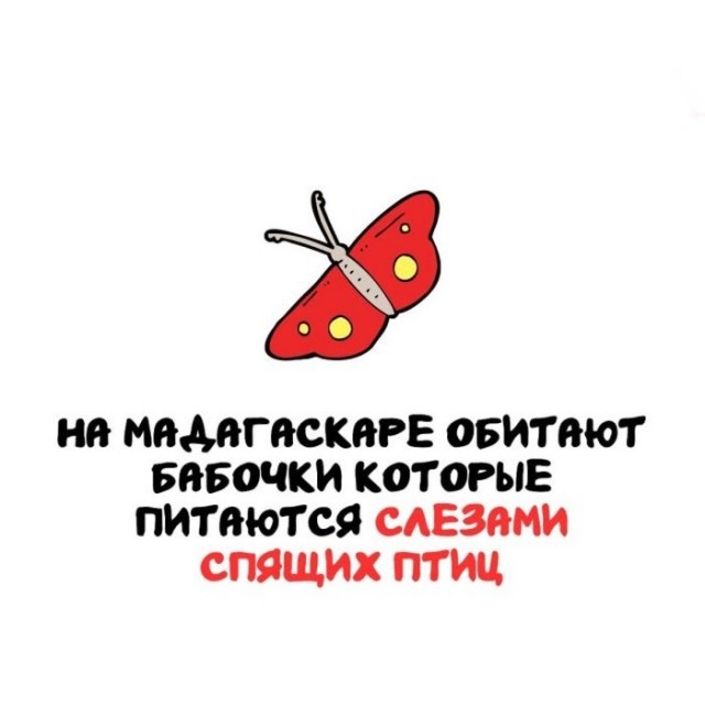 Интересные и короткие факты на все случаи жизни 19.04.26