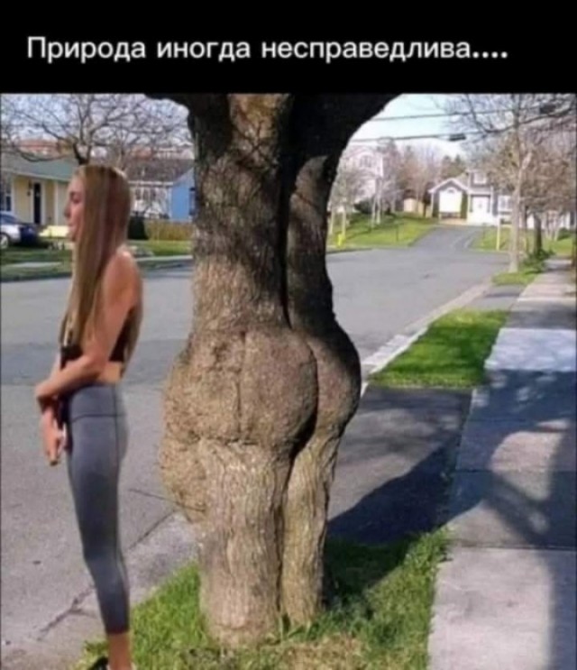 Так себе картинки 19.06.26