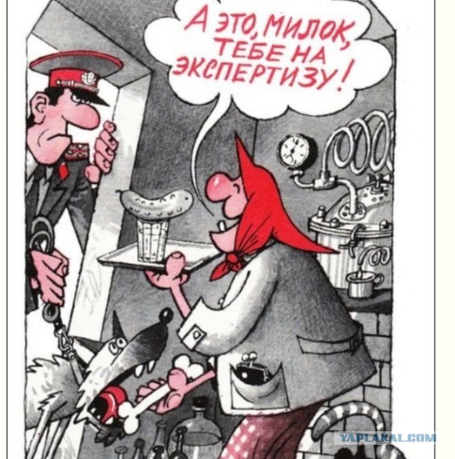 Ночной, дожор. Дачный.