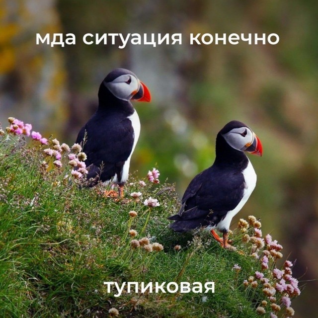 Так себе картинки 10.09.26