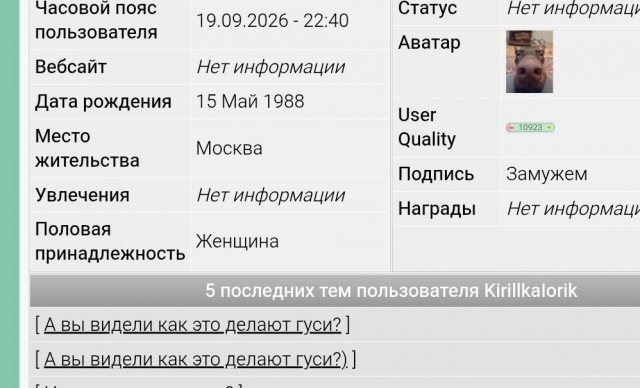 А вы видели как это делают гуси?