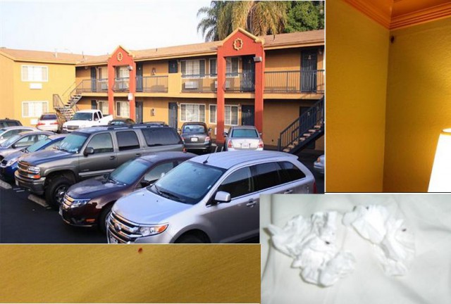 Придорожные мотели в США: цены, качество, сервис