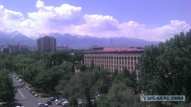 Эти странные алматинцы