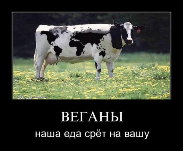 С миру по нитке. Демотиваторов чуть