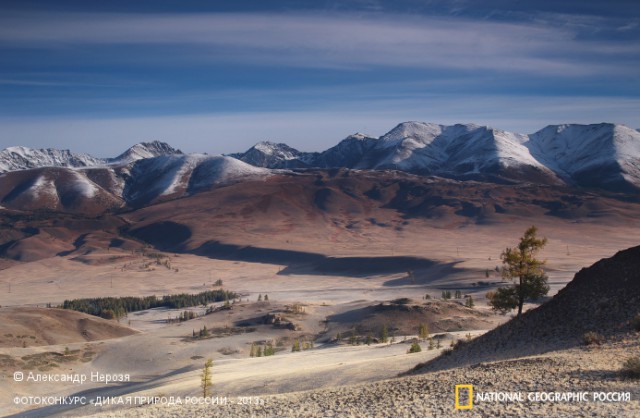 National Geographic,избранное...