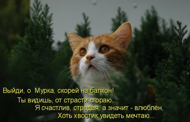 Зона отдыха на балконе и другие крутые идеи