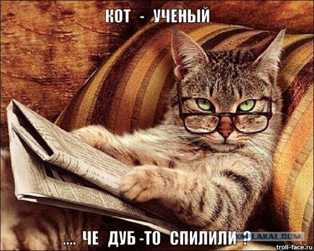 Котовторнику посвящается.