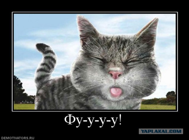 Че я не милашка ?
