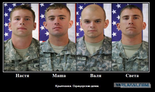 ЯП в Вести недели