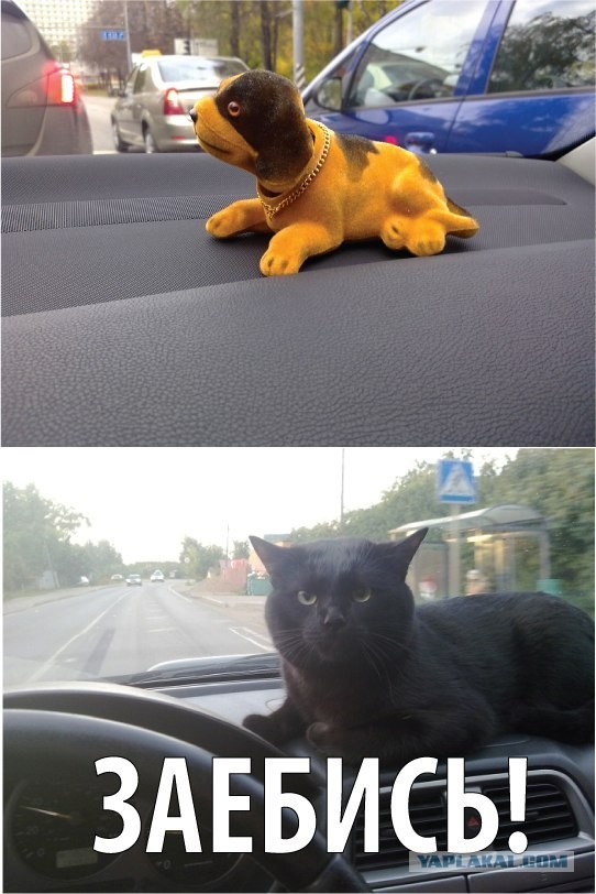 Если нет денег на игрушку...