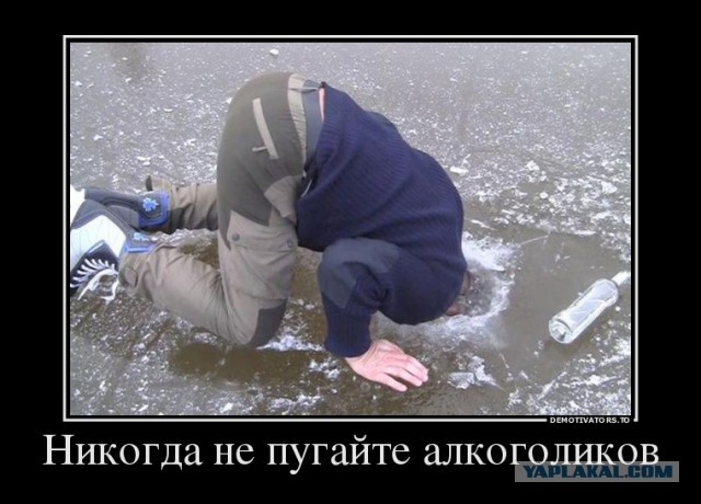Подборка картинок из соцсетей