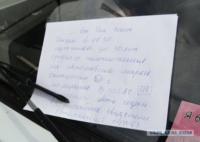 Мешанина прикольных картинок из сети