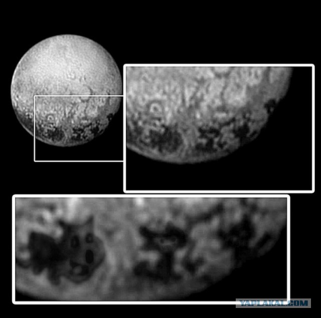 На Плутоне найдена жизнь!