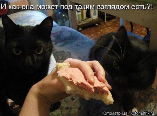 Забавные картинки из Сети