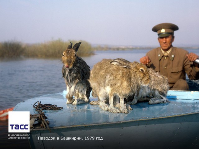 Редкие исторические фотографии