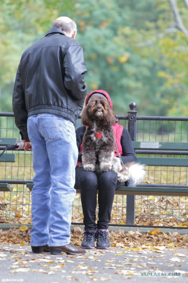 Объясните мне, что происходит !?