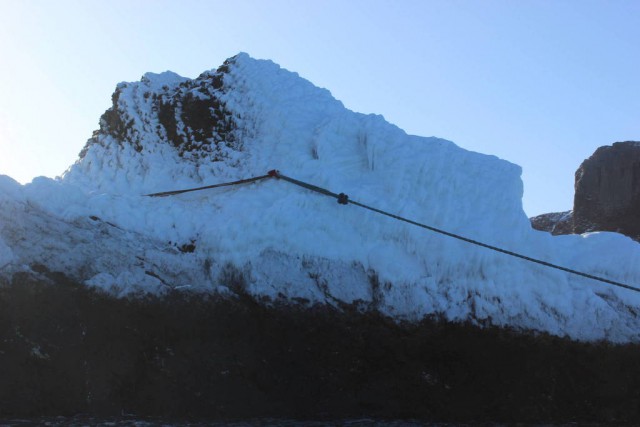 Полтора года зимы