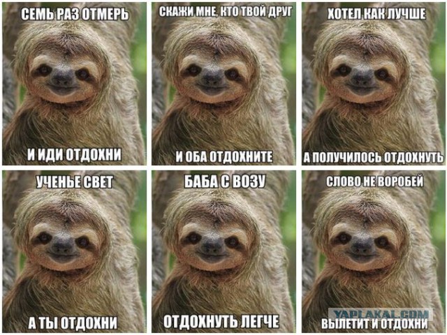 Немного лёгкой наркомании в картинках
