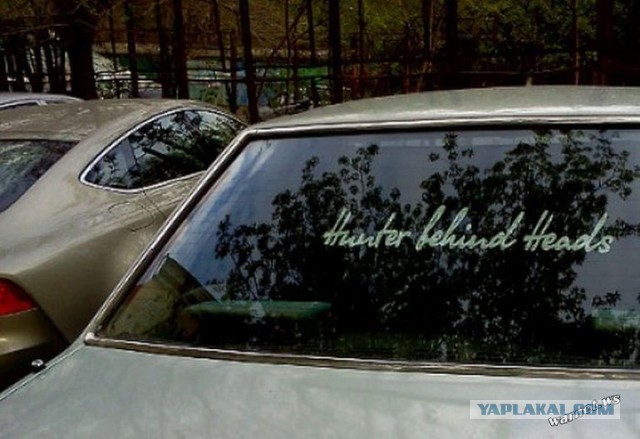 Нет предела вселенной и человеческой глупости