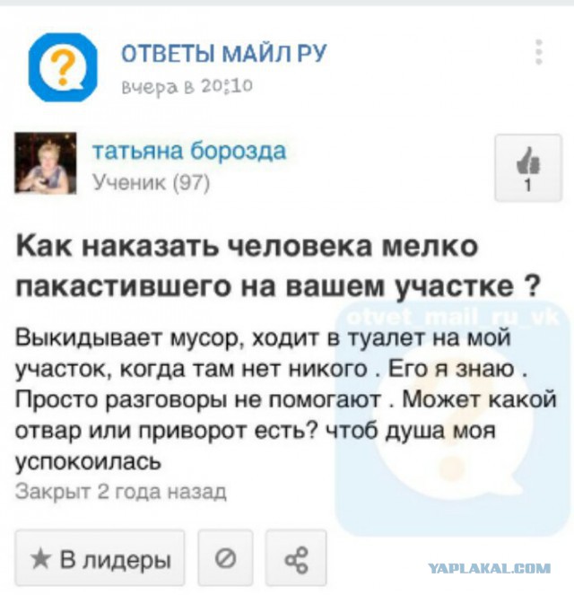 А ведь это жизнь