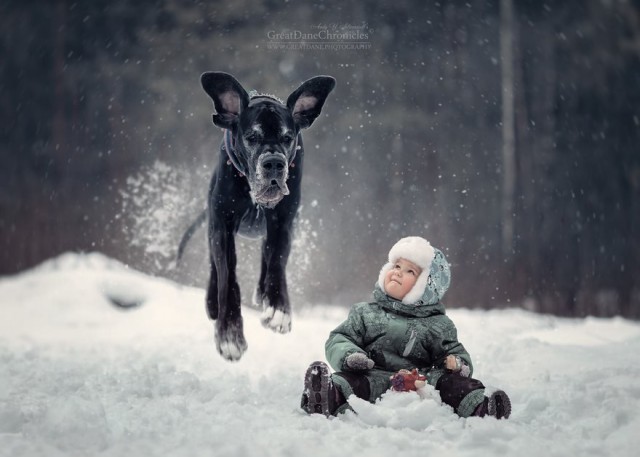 Мы с лучшим другом: фотографии детей и их больших собак