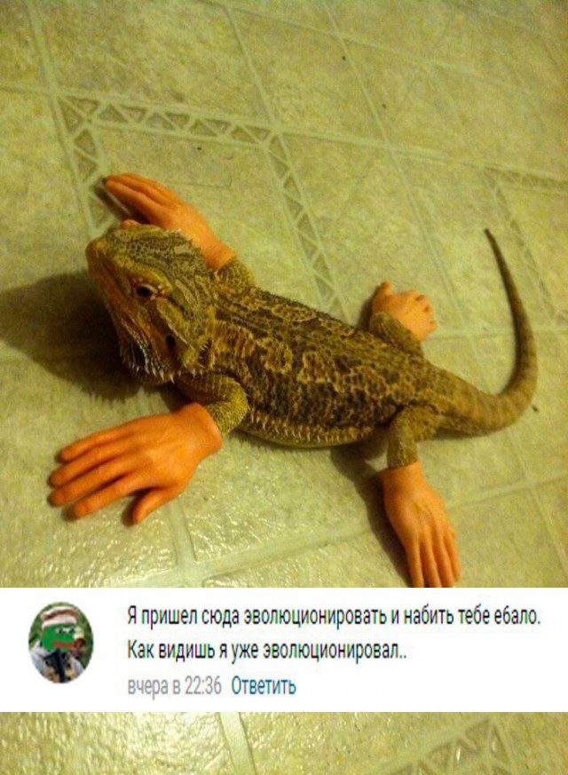 Ужасы и приколы из соцсетей 18+