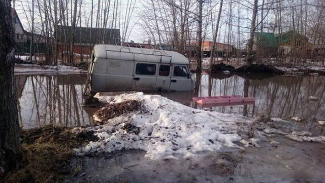 Подборка безудержного веселья