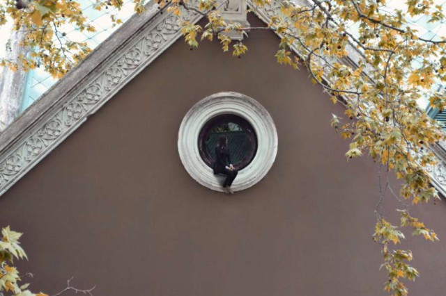Подборка интересных и веселых картинок