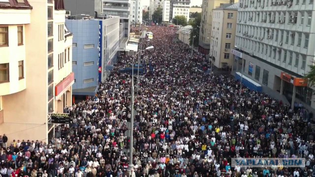 Сербы против мусульман. Позитивные новости