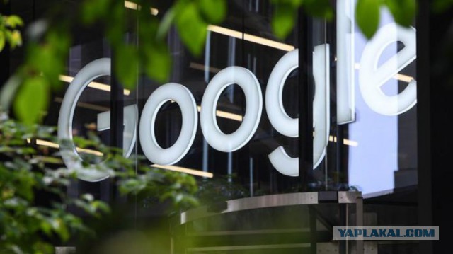 Сотрудники Google обвинили компанию в дискриминации белых мужчин