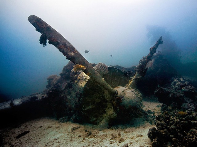 Самое большое подводное кладбище военной техники