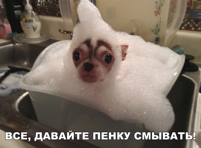 Нестандартный юмор